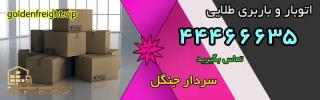 باربری در محدوده سردار جنگل